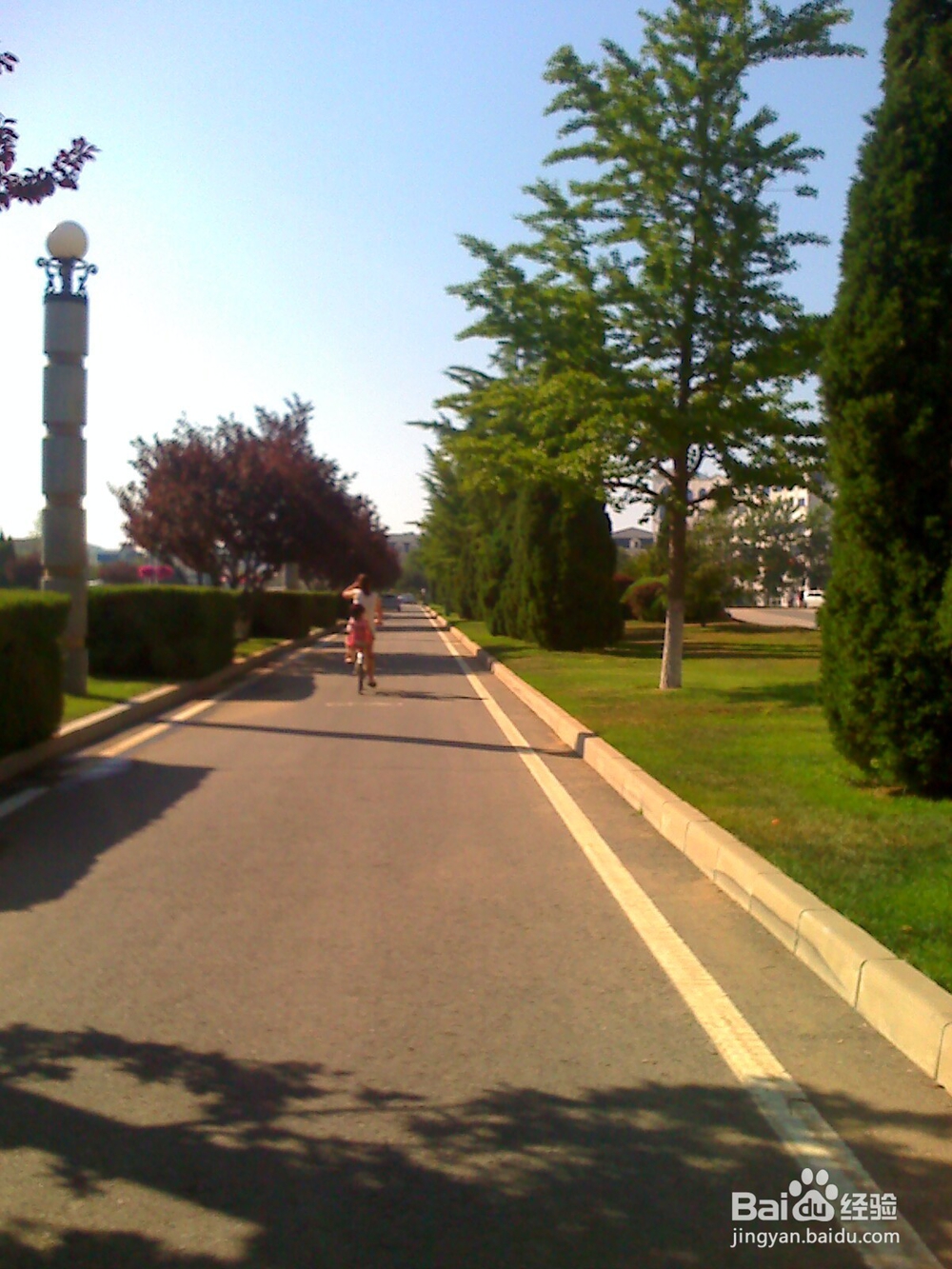 怎样告诉孩子什么是天然的氧吧--24