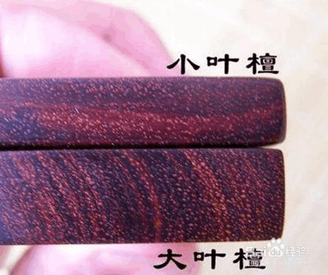 大叶紫檀与小叶紫檀有什么区别