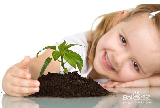 春节过年如何应对熊孩子