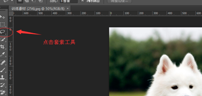 ps实用小技巧：抠出毛发