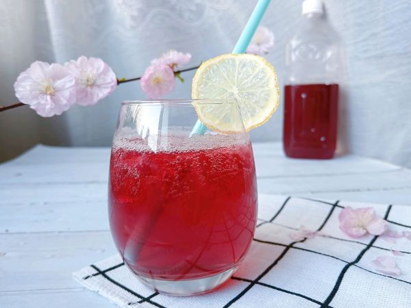 蔓越莓果冻气泡水