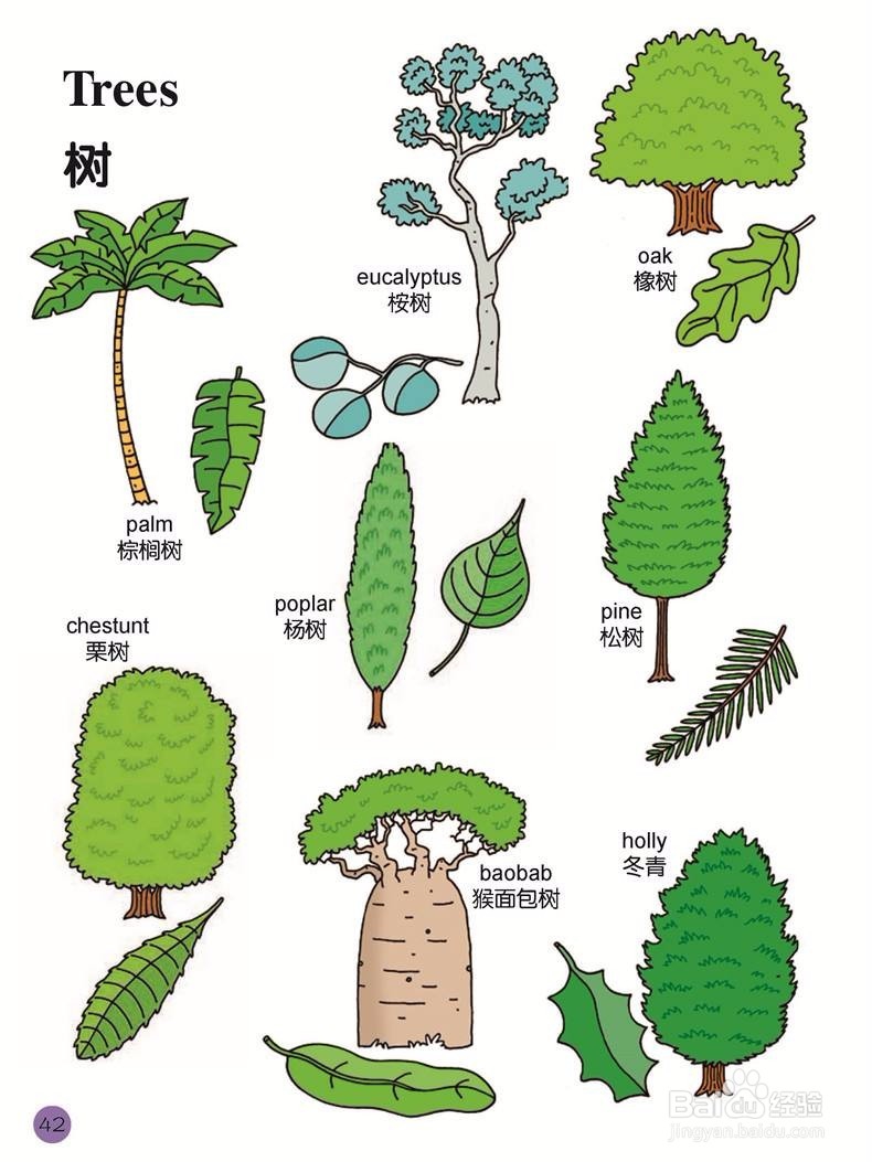 如何有效记单词