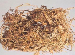 最常用一则肝内胆管结石的偏方