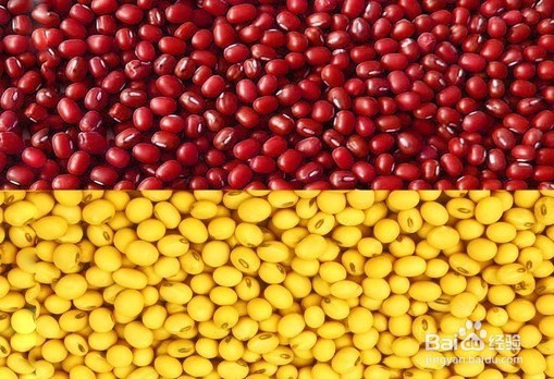 儿童益智游戏之分豆豆