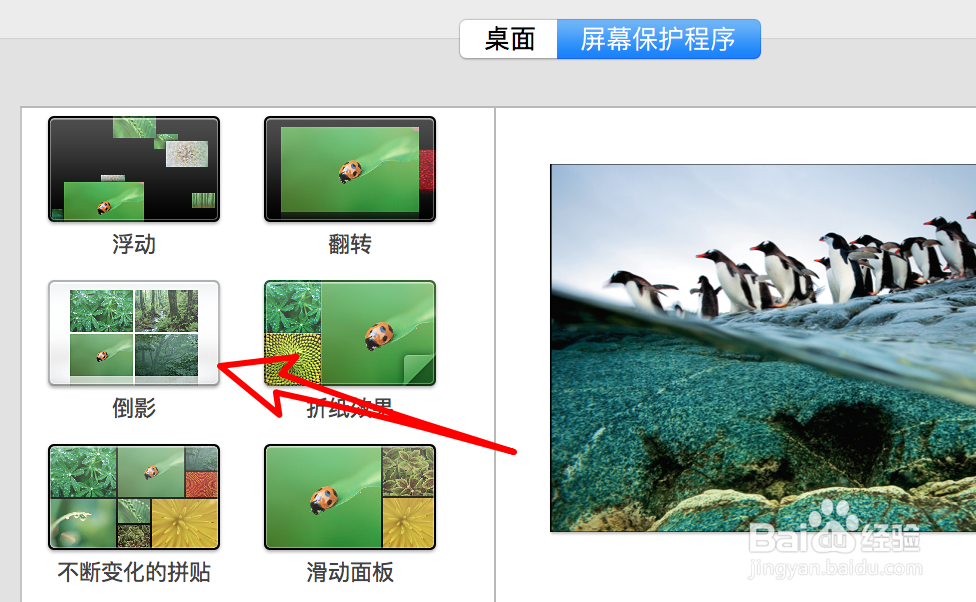 mac如何设置屏保