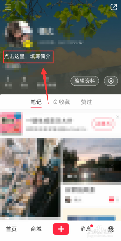 小红书怎么填写简介