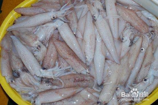 怎么买到新鲜的鱿鱼？