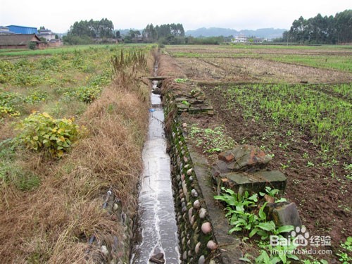 农田土壤污染怎么办？如何有效改良土壤？