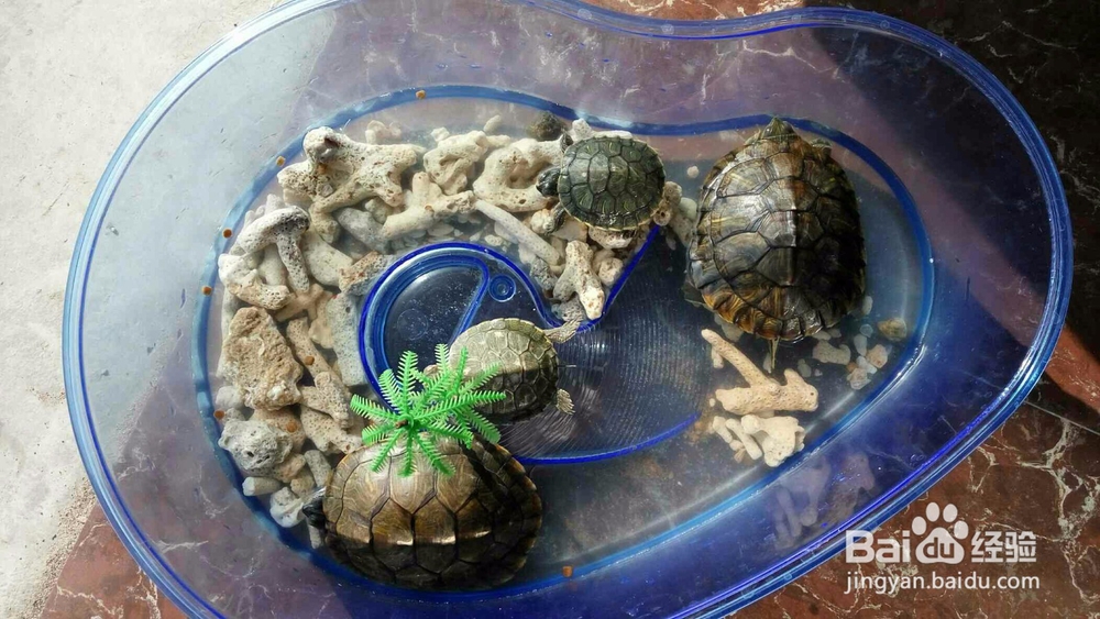 办公室头顶有梁怎么办