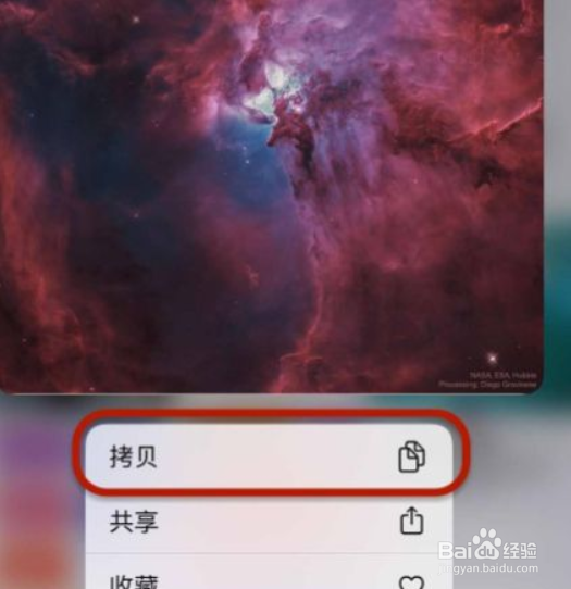 iphone相册拷贝照片在哪