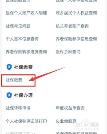 个人社保怎么交