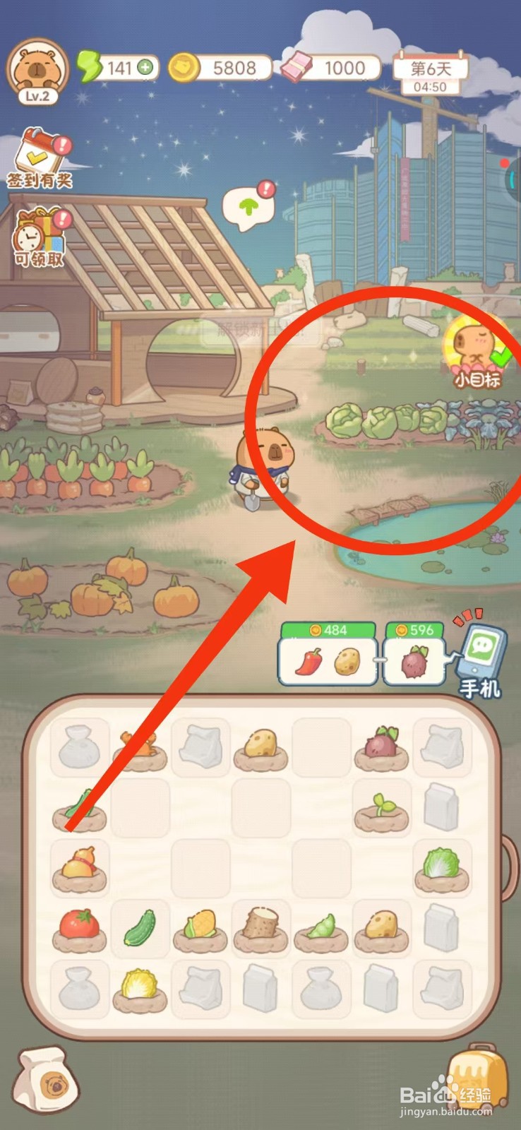 慢豚豚的生活如何开垦菜叶园