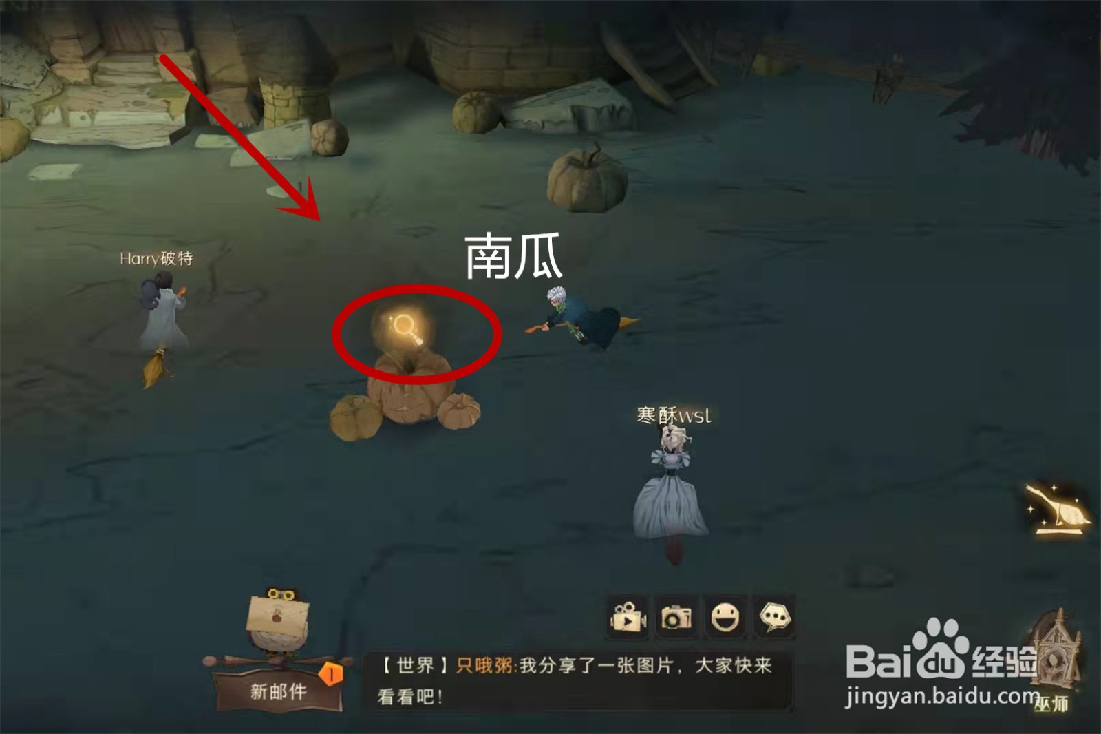 哈利波特魔法觉醒11.24彩蛋在哪