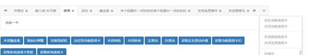Bootstrap多功能自定义选项卡