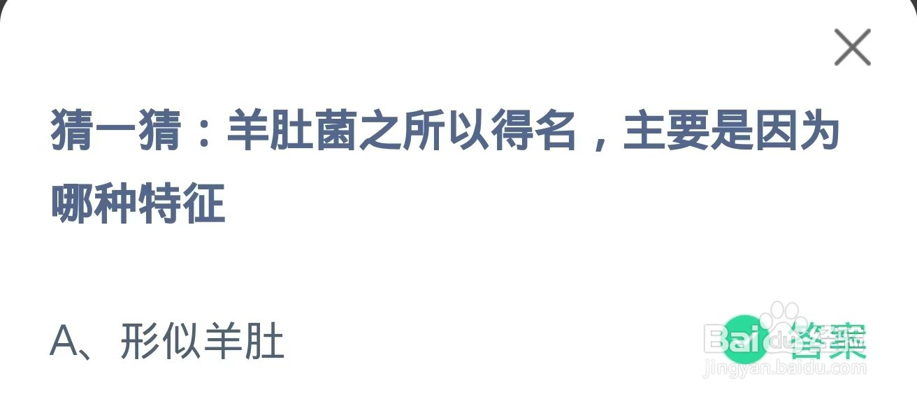蚂蚁庄园2024.10.2：羊肚菌之所以得名