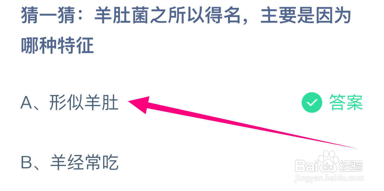 蚂蚁庄园答案羊肚菌之所以得名主要是因为哪特征