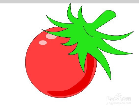flash如何绘制一个矢量西红柿教程