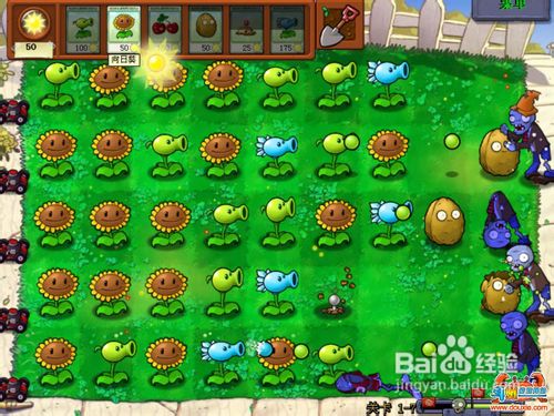 植物大战僵尸2全套秘籍(上)