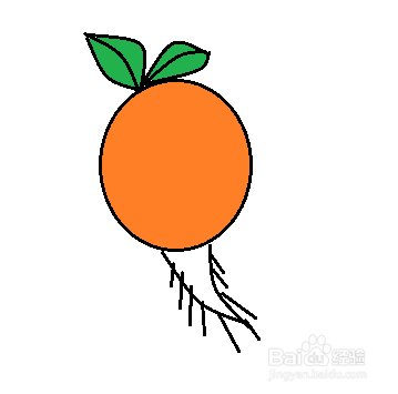 萝卜简笔画怎么画？