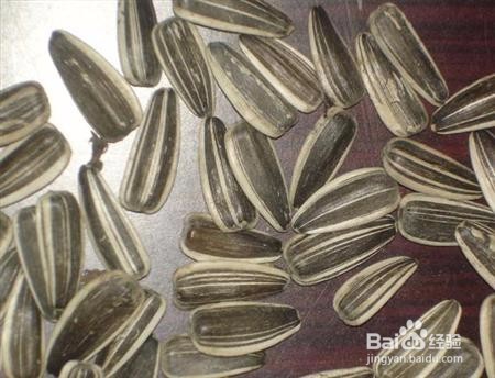 种向日葵怎样防治烂头病？