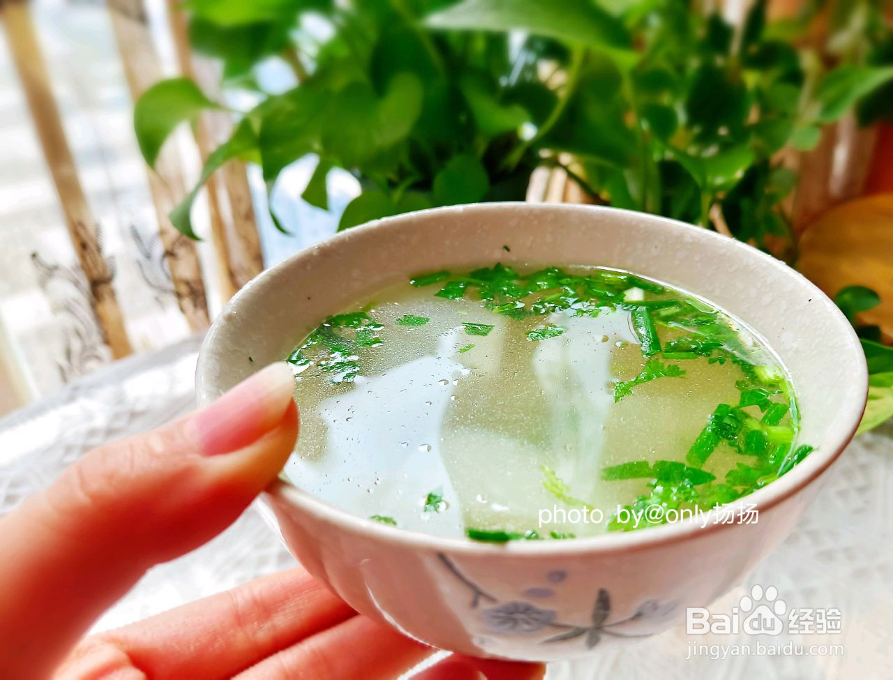 极简白萝卜牛肉汤的做法