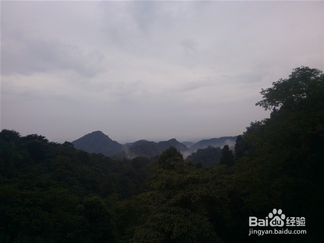 成都清明节旅游攻略