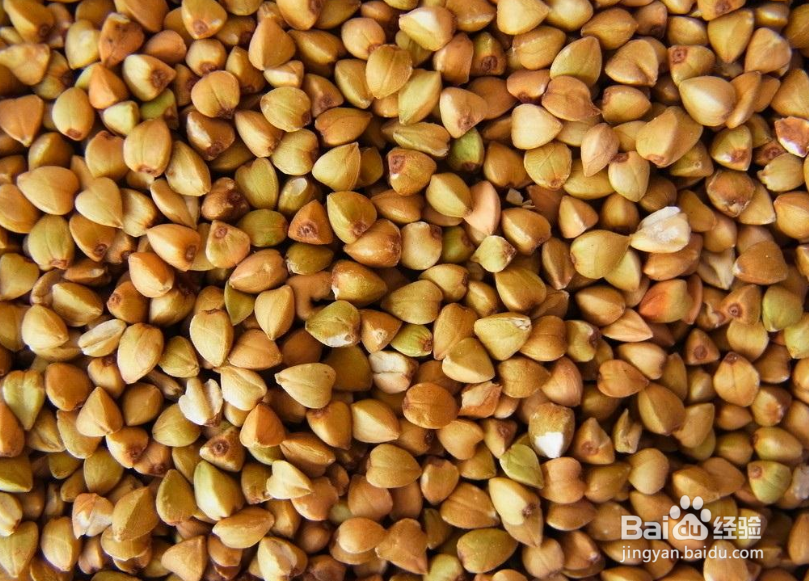 什么食物可以代替米饭？