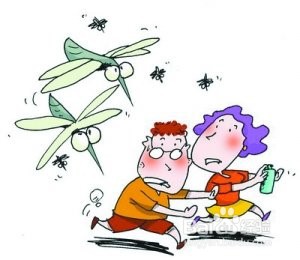 夏天如何防止蚊子叮咬