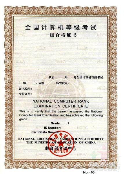 计算机二级水平怎么填