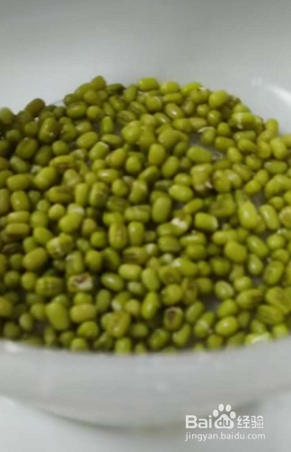 绿豆芽怎么生粗壮又白