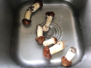 姬松茸煲鸡汤做法