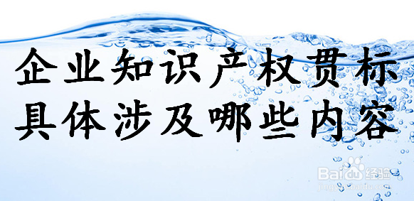 企业贯标工作如何进行?　何为贯标