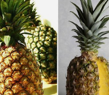 菠萝的吃法和禁忌