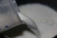 自制奶油白酱食品诱惑