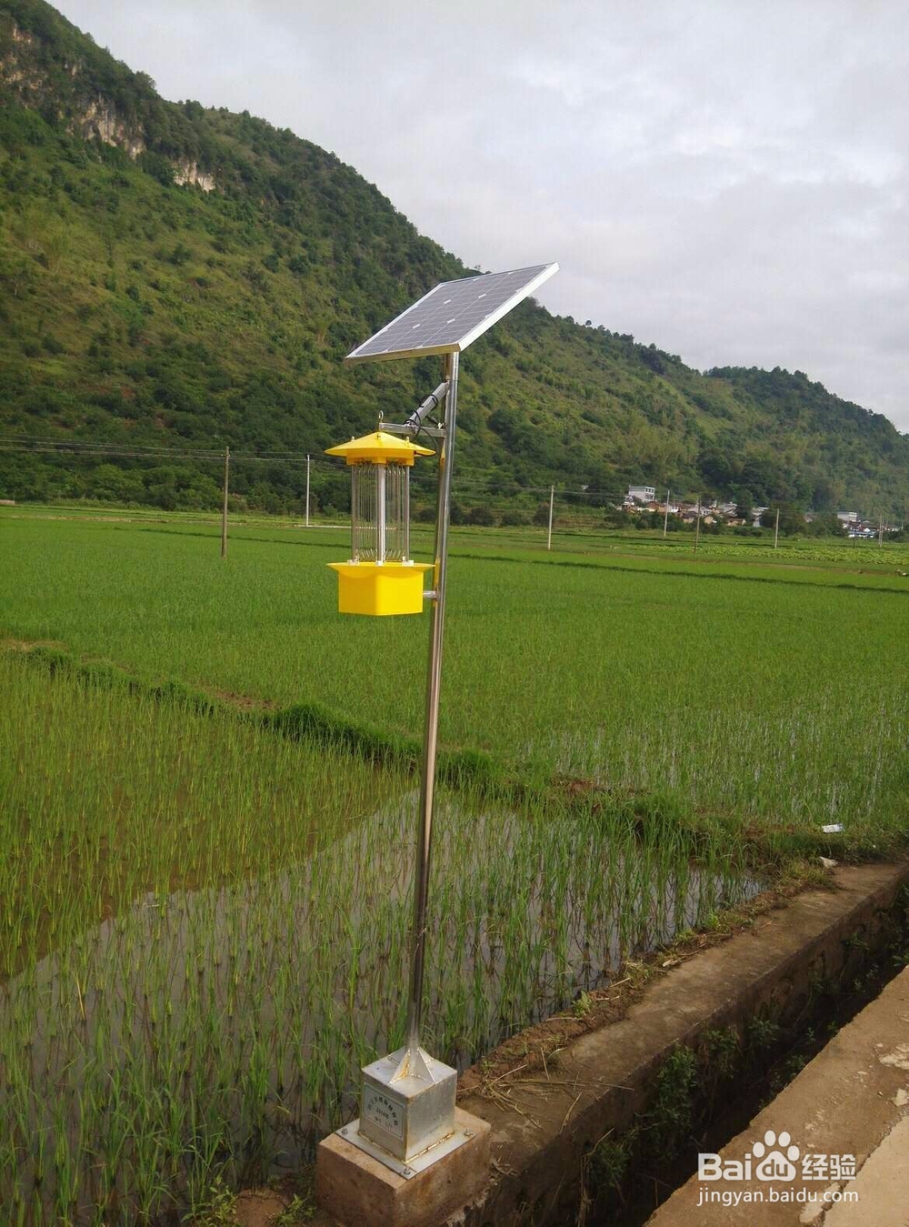 农业杀虫灯价格是多少？