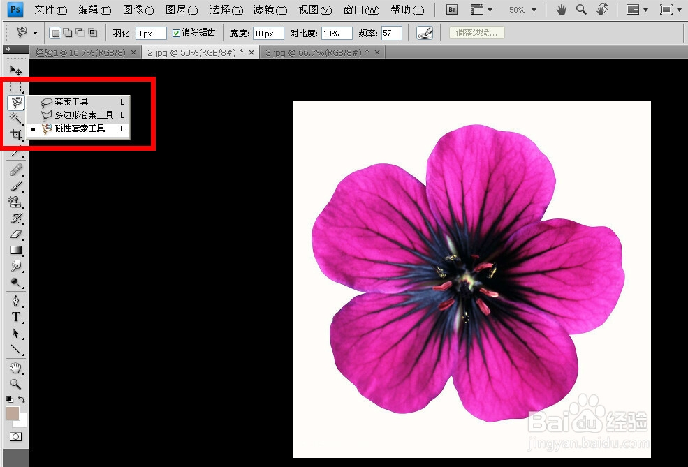 PS快速入门：[3]套索与魔棒