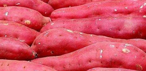 哪些常见的食物吃法是错误的