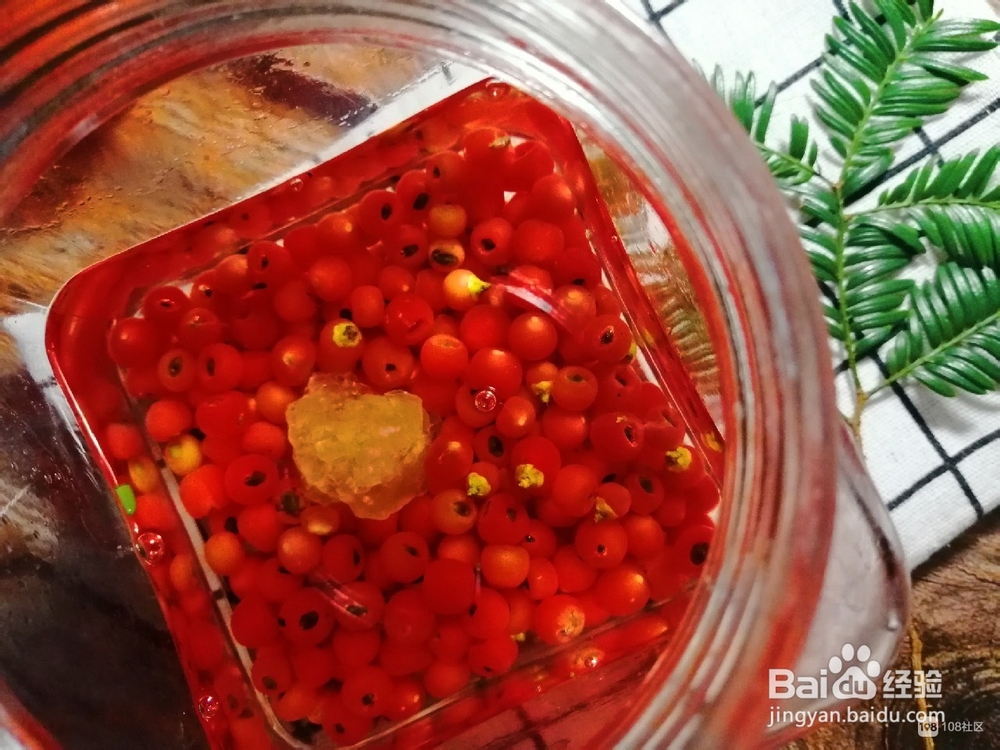 红豆杉果子泡酒的方法