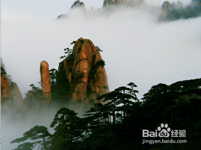 沽源县有哪些好玩的地方？