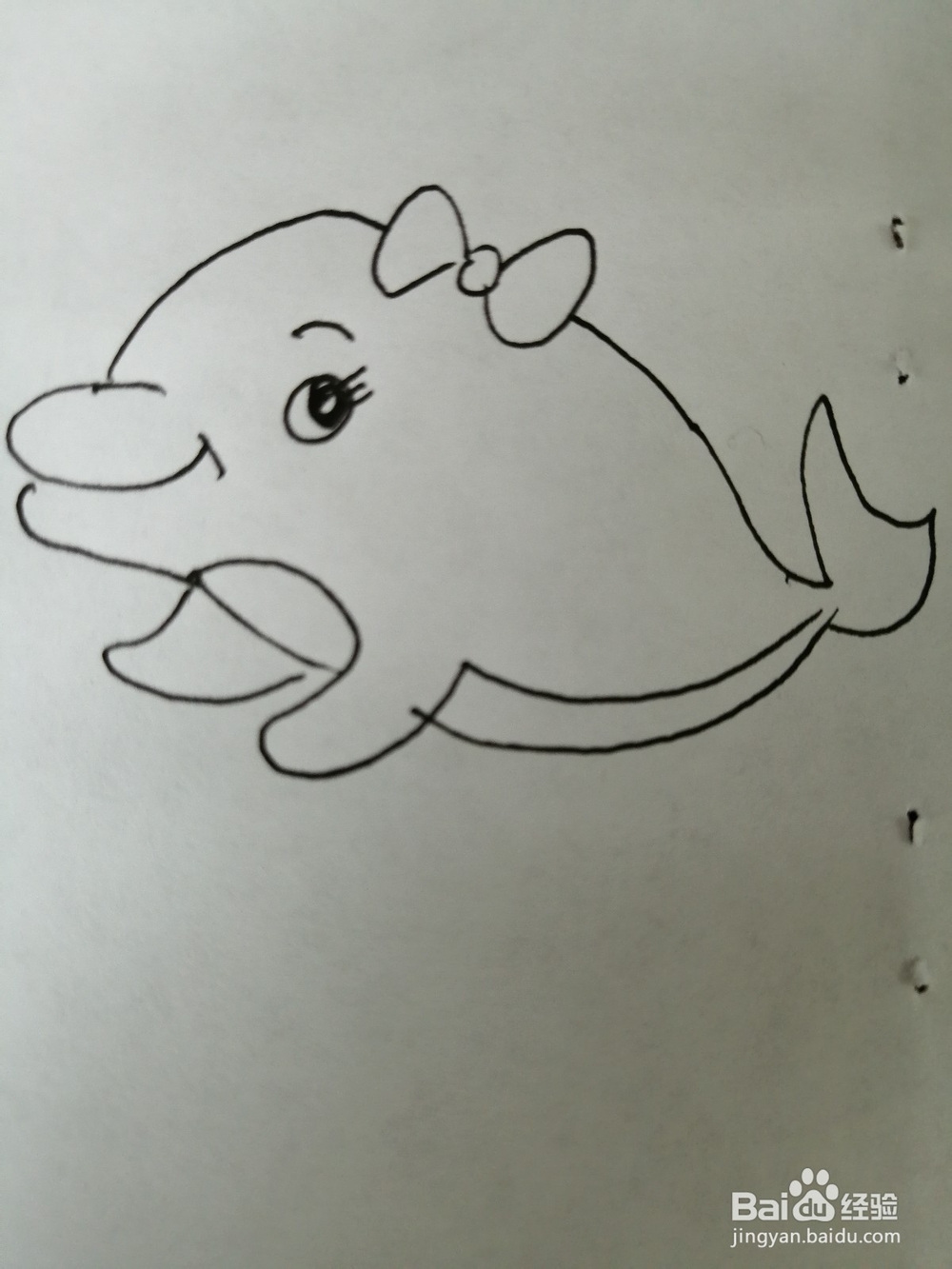 <b>漂亮的海豚怎么画</b>