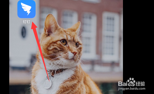 钉钉如何添加好友特别关注？