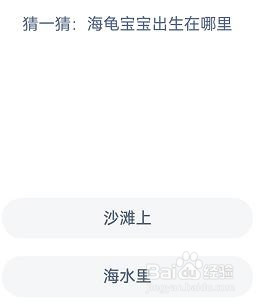 海龟宝宝出生在哪里？神奇海洋11.8答案
