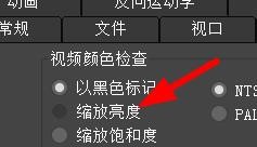 3DS MAX如何设置视频颜色检查的首选项