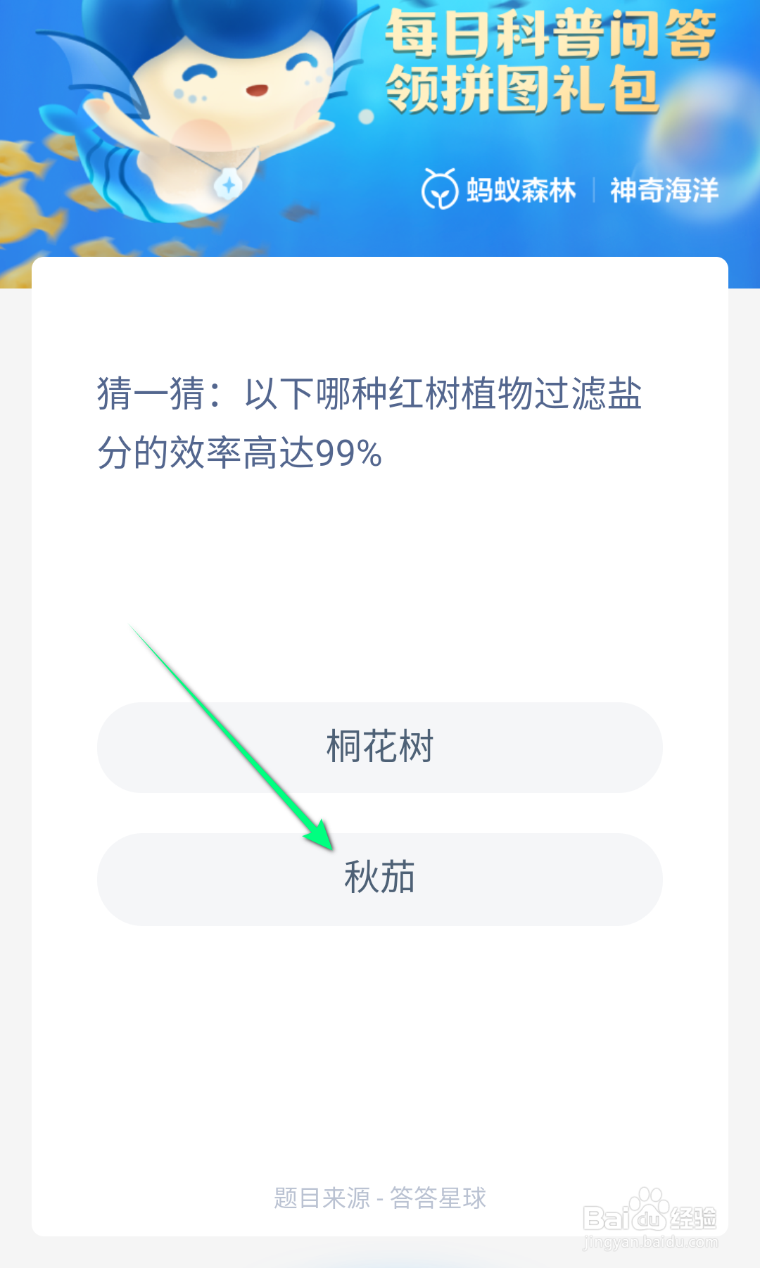 猜一猜以下哪种红树植物过滤盐分的效率高达99%