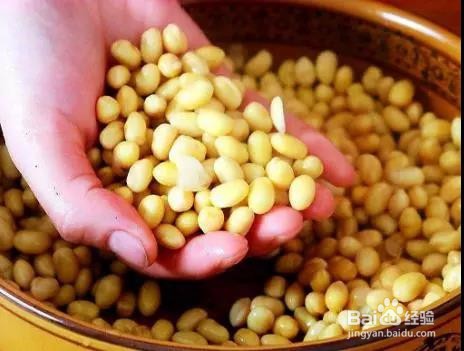 怎样自制黄豆酱