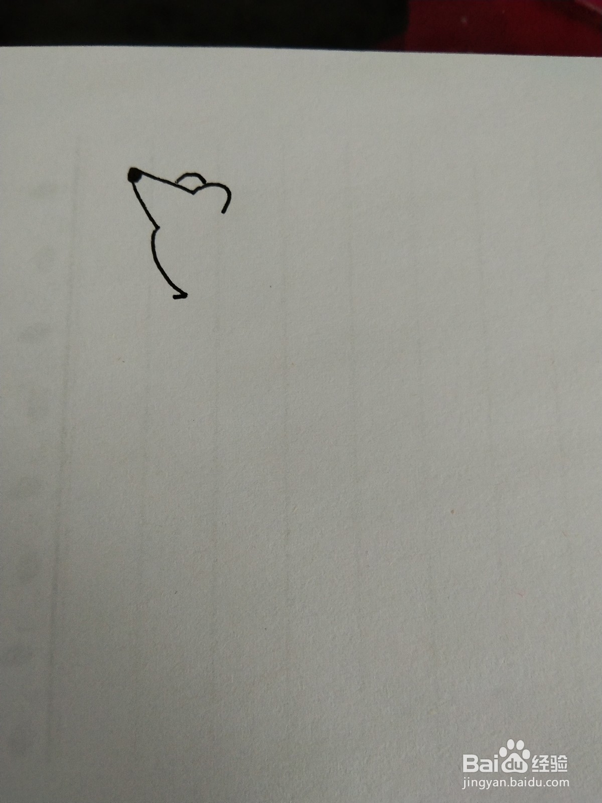 老鼠最简单的画法