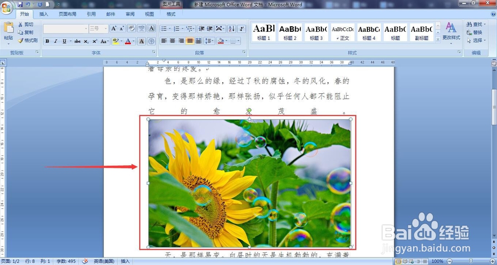 word文档图片显示不全怎么弄