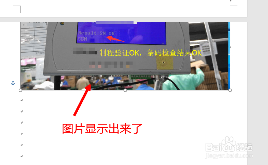 Word中插入的图片不显示怎么办
