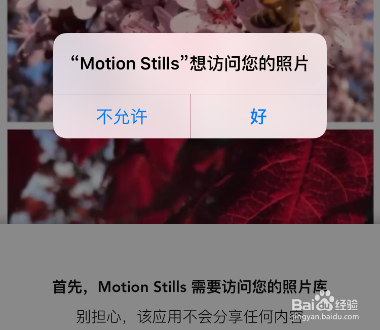 Live Photo怎么转gif,Live Photo怎么转视频?