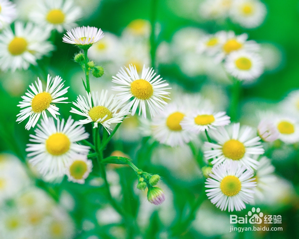 治冻疮，冻疮治疗